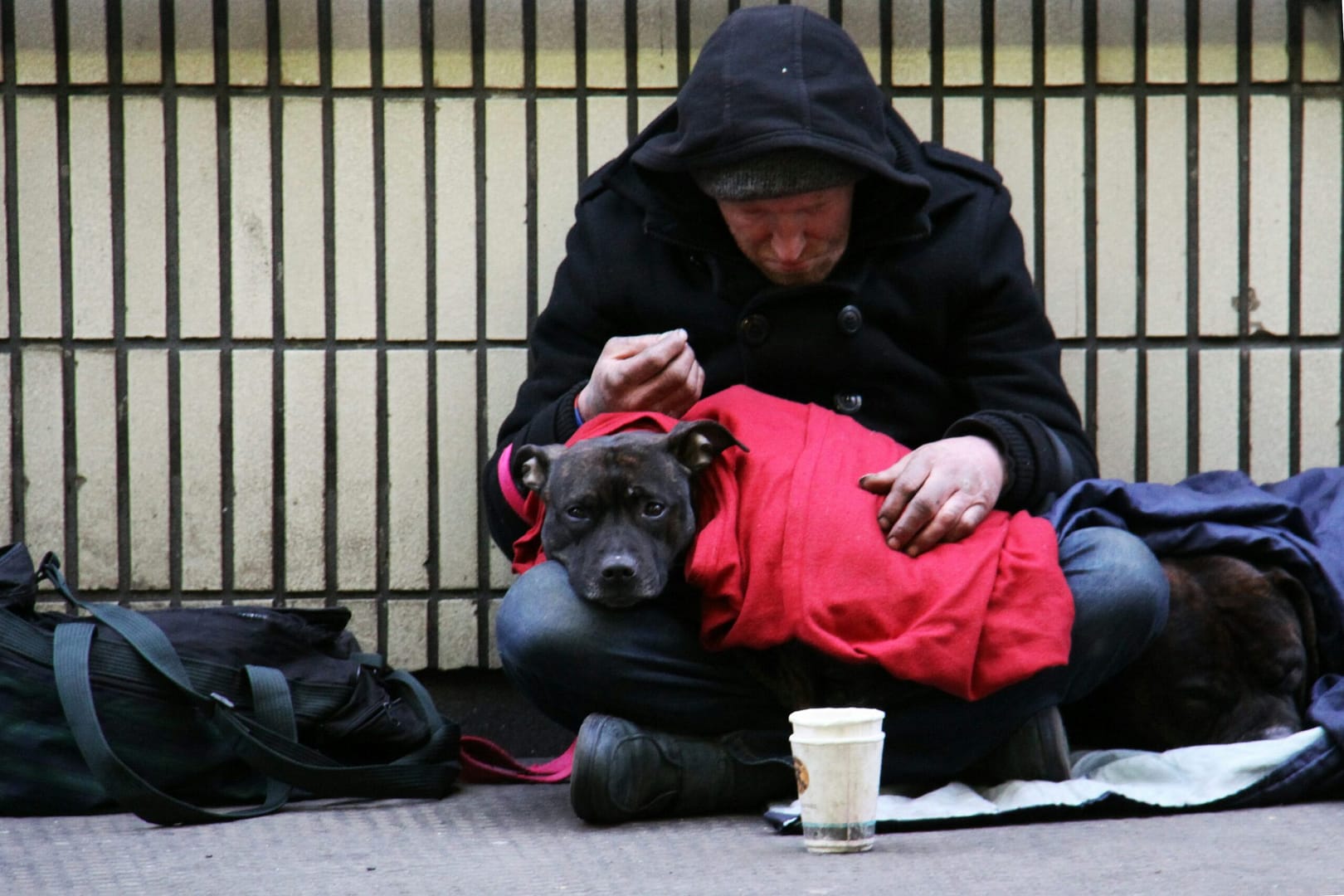 photo-1542367787-4baf35f3037d homeless man sitting/sleeping with his dog