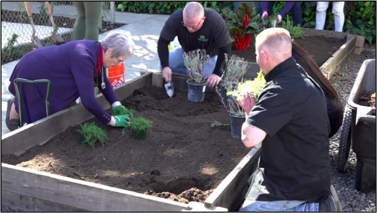 Homeless taking care of garden